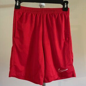 Boy's Nike Shorts Size L Tiny Snag Left Rear Pre-owned